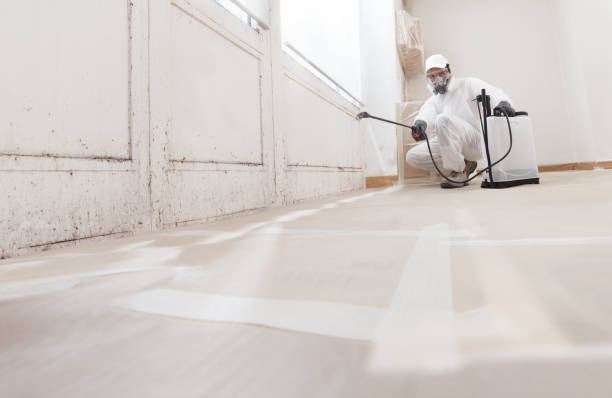 24/7 Emergency Attic Mold Remediation experts in Maywood, IL